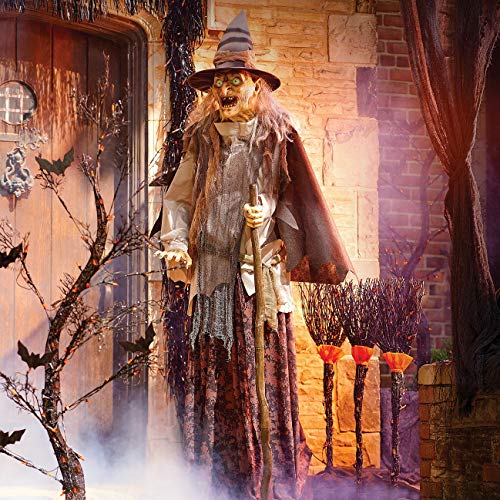 Improvements Lunging Haggard Witch Prop Animated Halloween Decoration ...